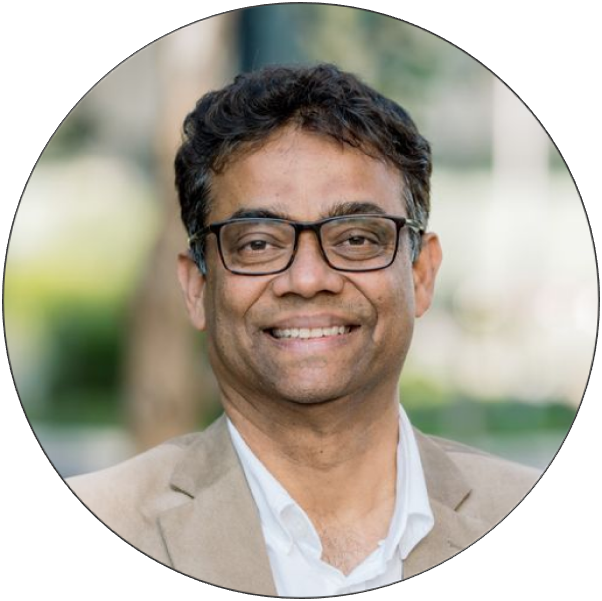 Professor Girish Dwivedi